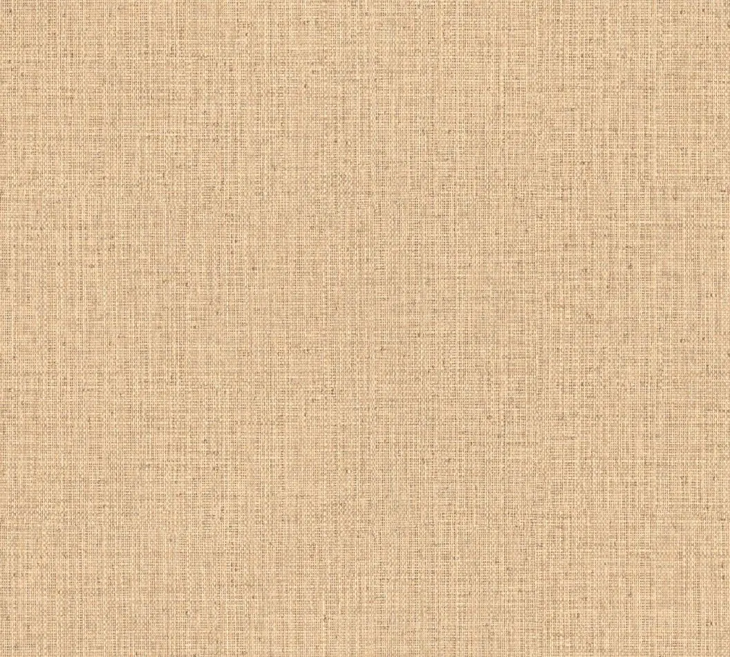 Gitane Nongo 49511 Sand