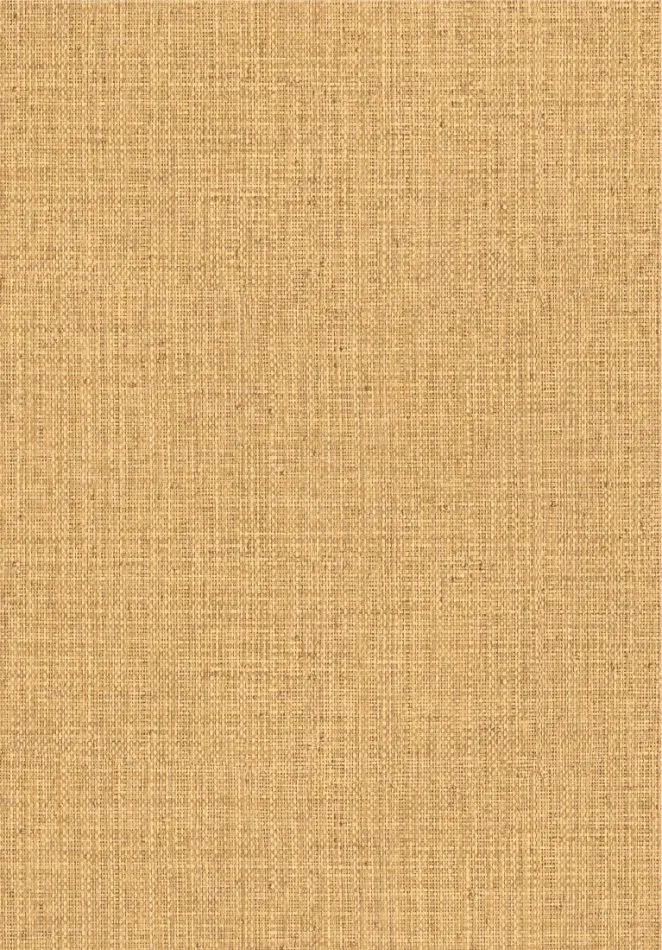 Gitane Nongo 49513 Straw