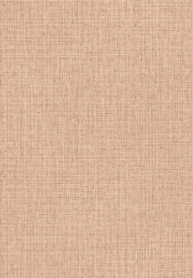 Gitane Nongo 49516 Vintage Blush