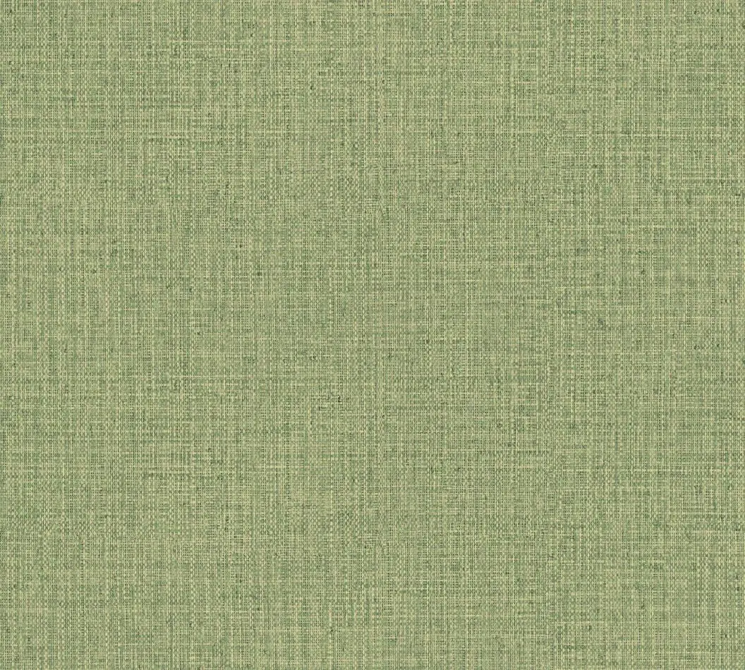 Gitane Nongo 49517 Olive