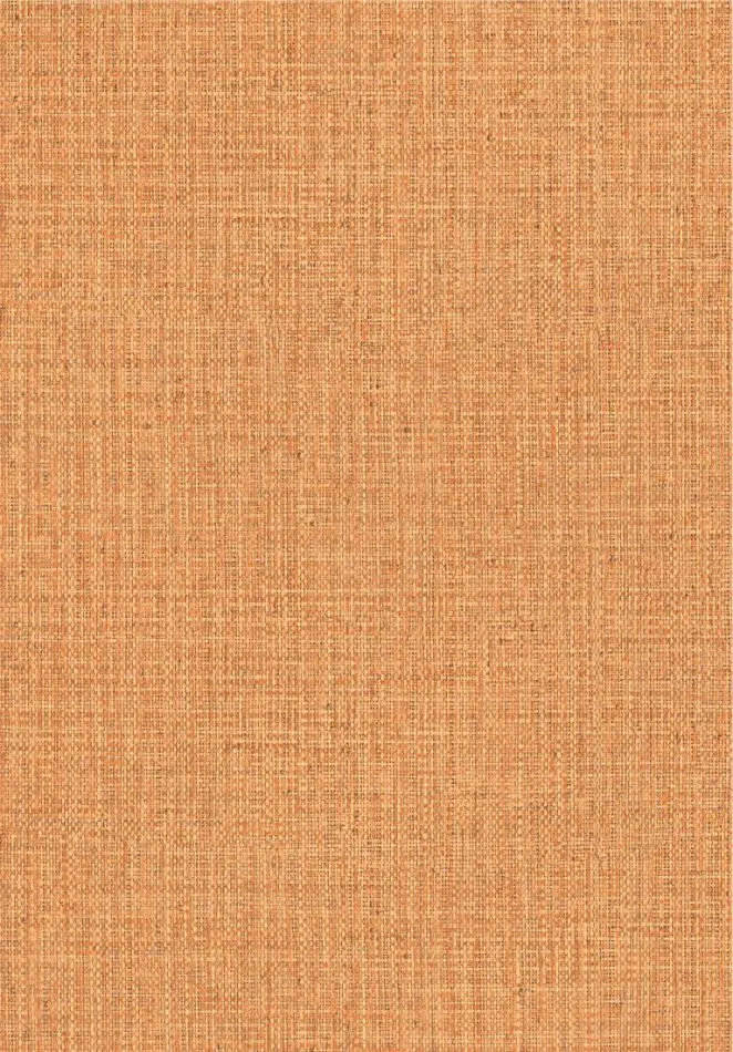 Gitane Nongo 49518 Amber