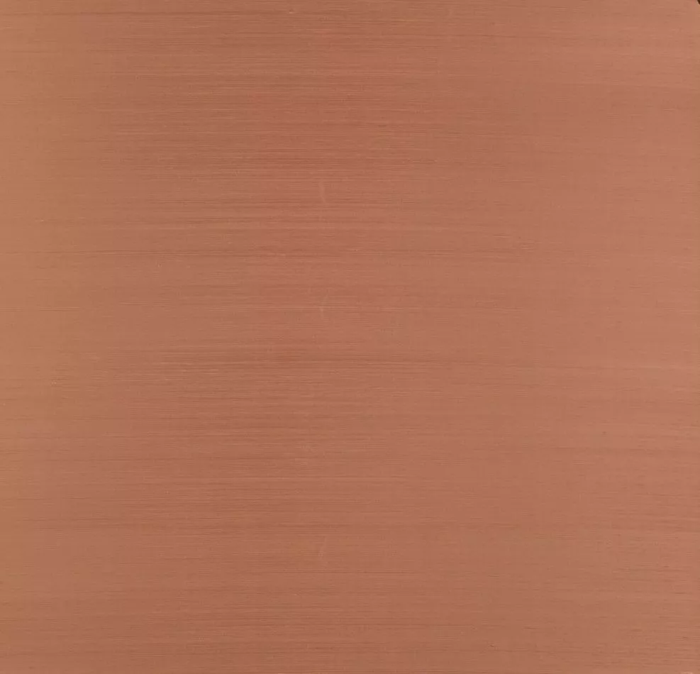 Papillon 58545 Earth