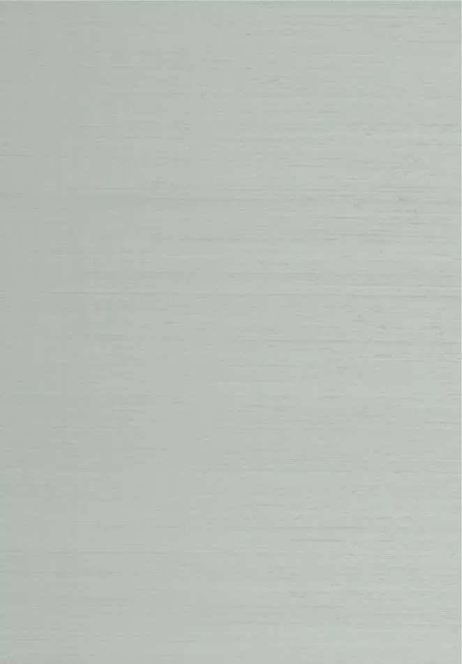 Papillon 58554 Pale Blue