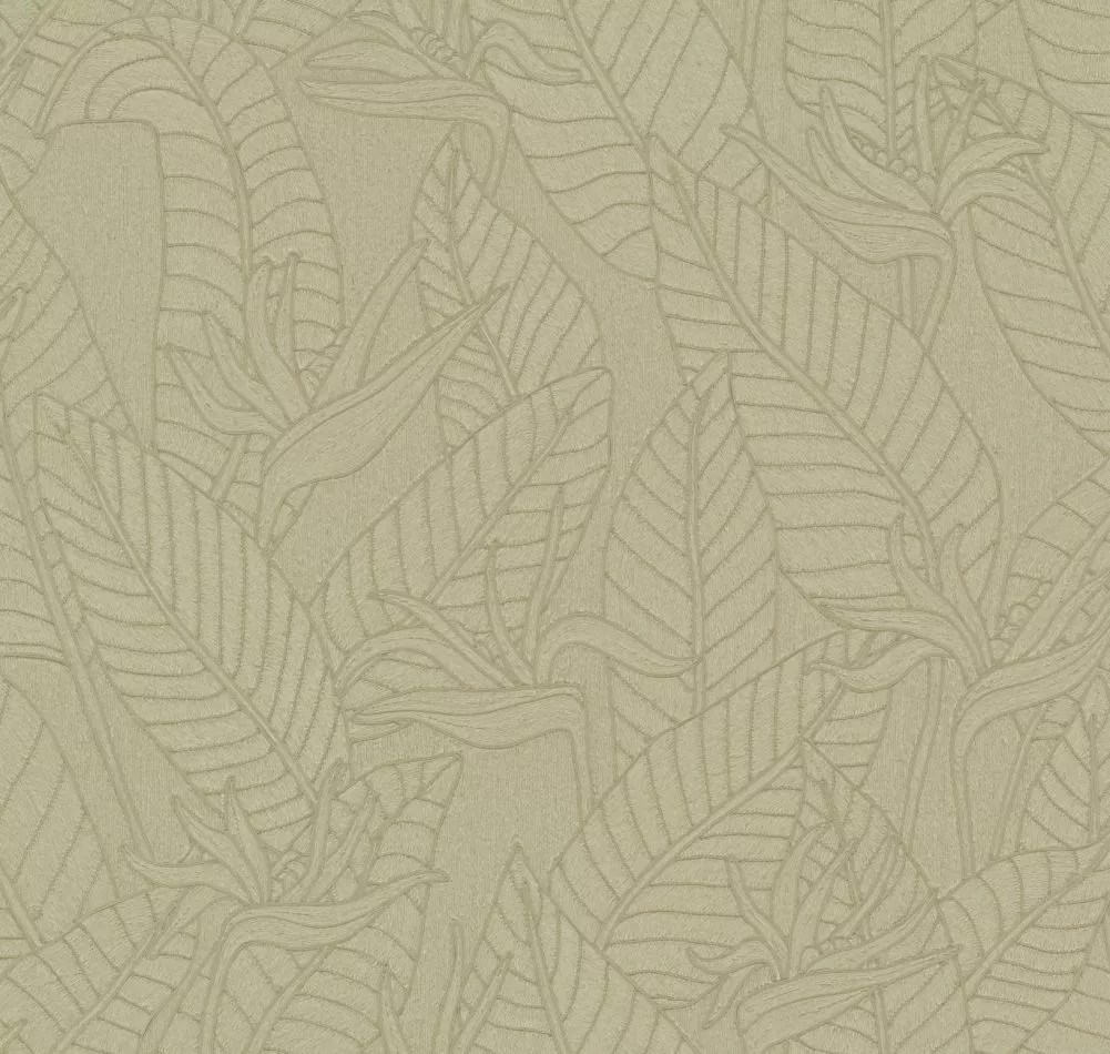 Strelitzia 60740 Olive