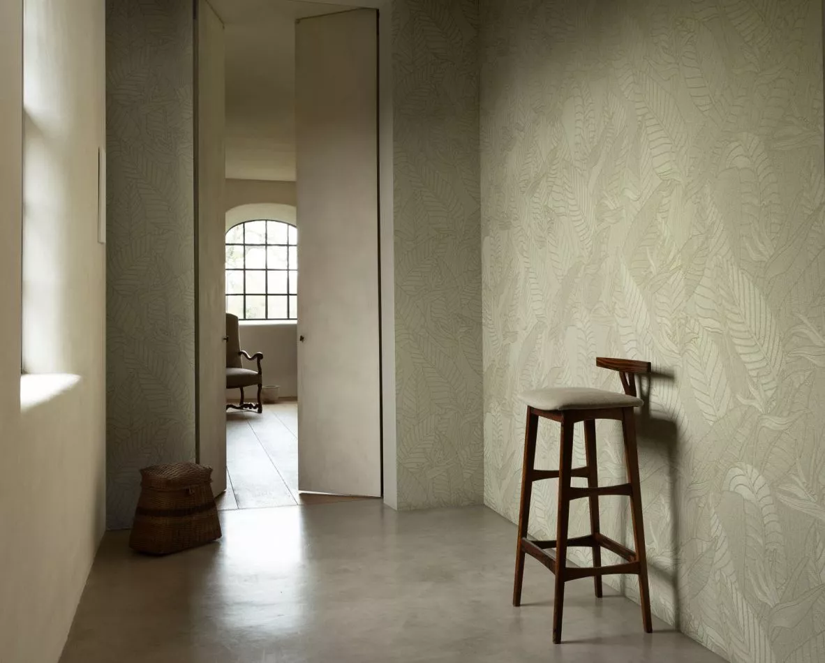 Strelitzia 60740 Olive