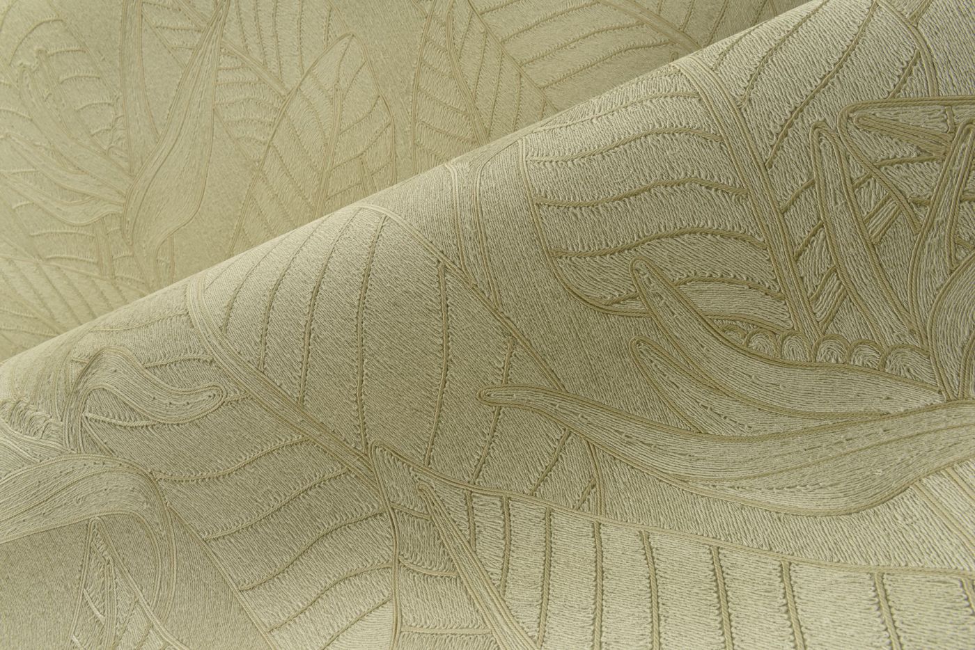 Preview: Strelitzia 60740 Olive