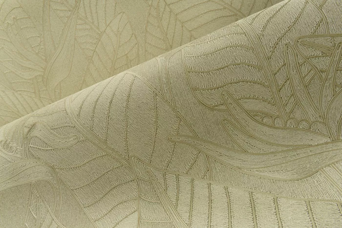 Strelitzia 60740 Olive