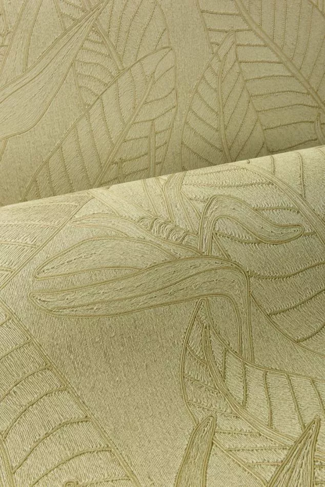 Strelitzia 60740 Olive