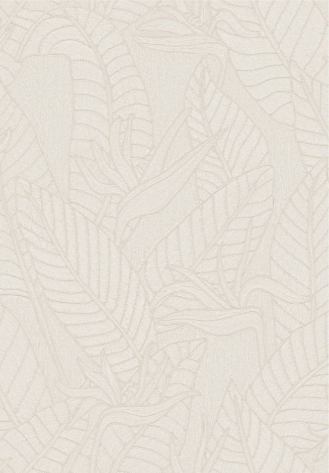 Preview: Strelitzia 60741 Alabaster