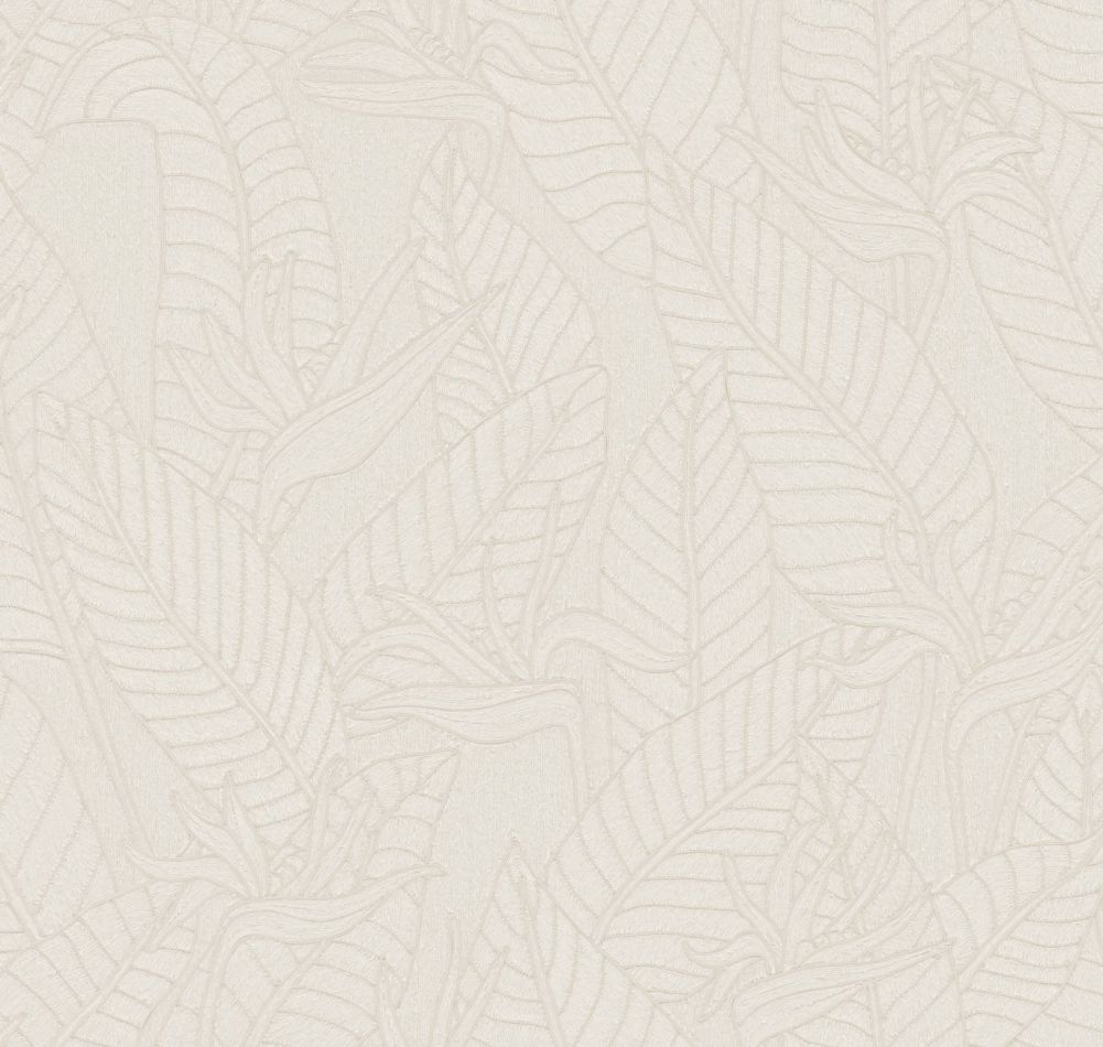 Preview: Strelitzia 60741 Alabaster