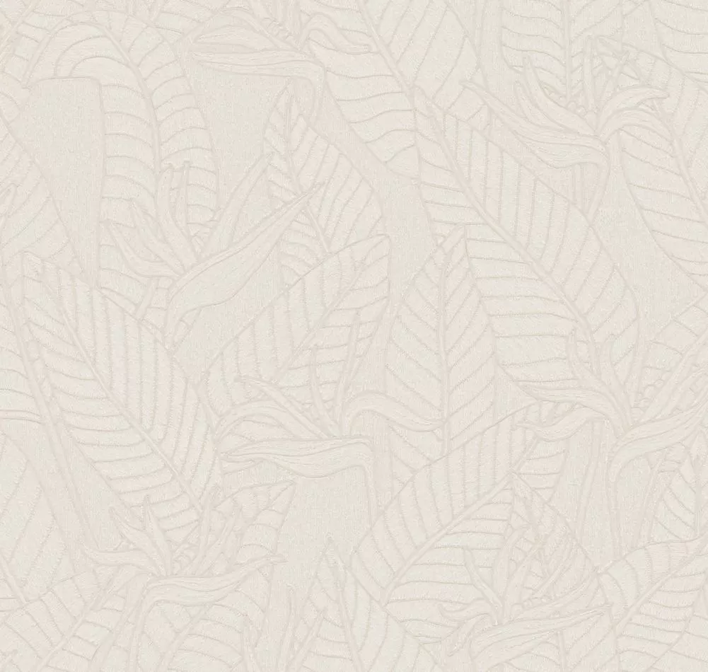 Strelitzia 60741 Alabaster