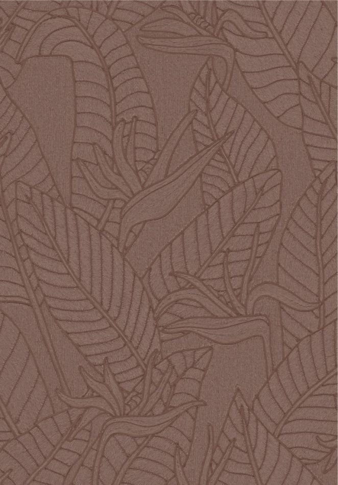 Preview: Strelitzia 60743 Hickory