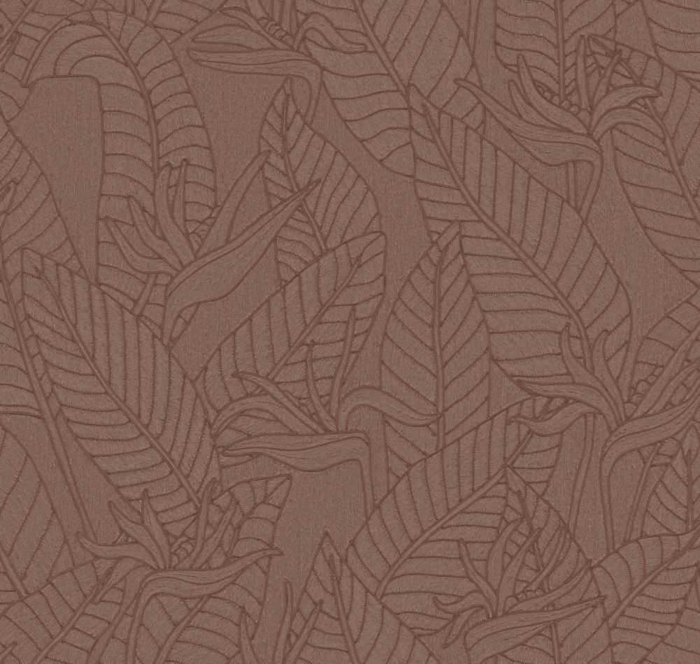 Preview: Strelitzia 60743 Hickory