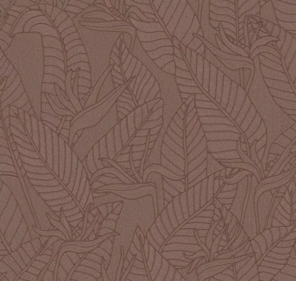 Strelitzia 60743 Hickory