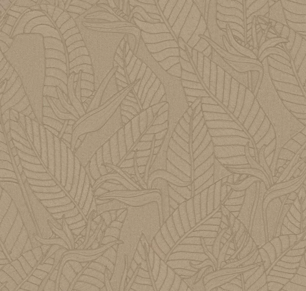 Strelitzia 60747 Hemp