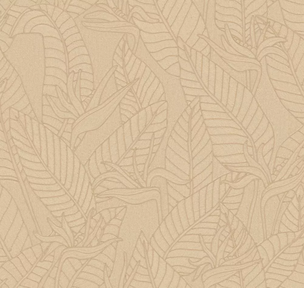 Strelitzia 60748 Abaca