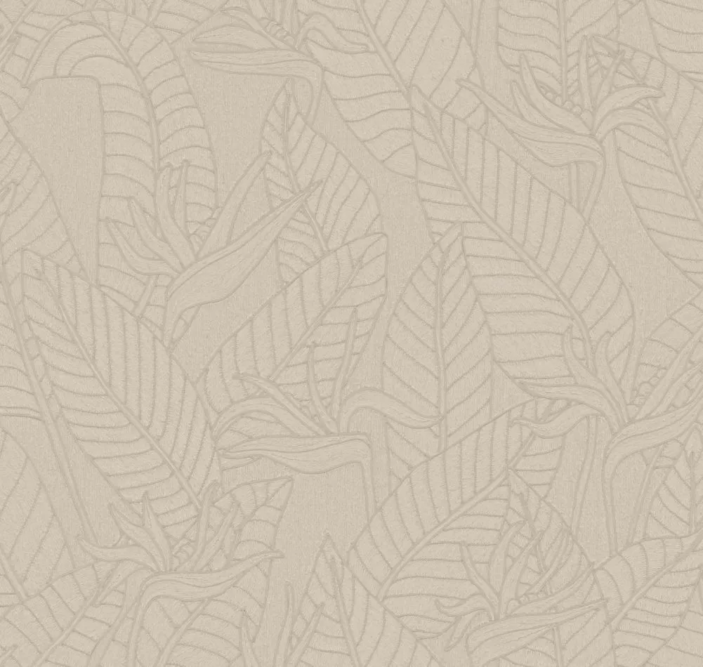 Strelitzia 60750 Zinc