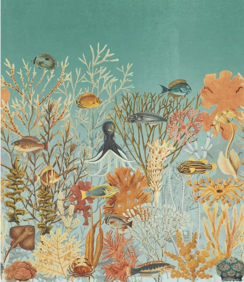 Moorea 71300240 Caraïbe