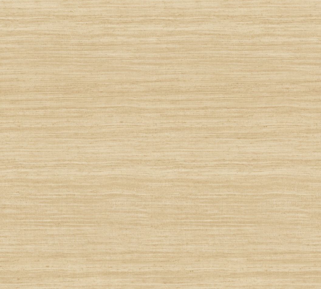 Preview: Tasar 72024