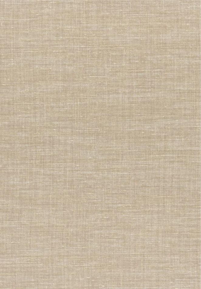 Preview: Shinok 73810314 Champagne