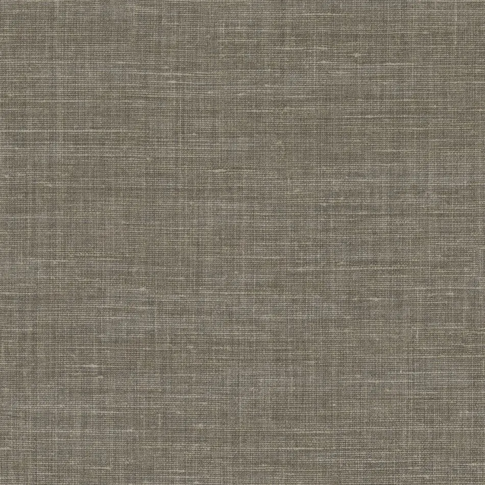 Shinok 73813782 Gris Taupe