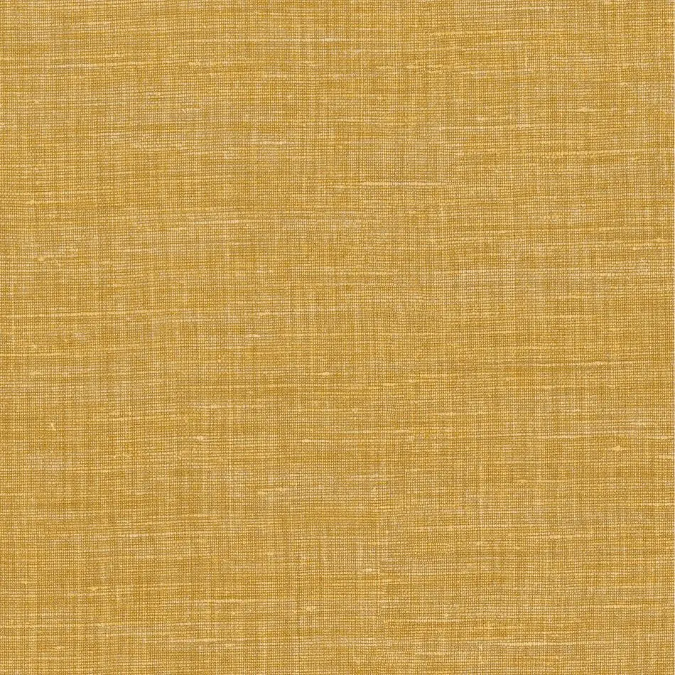Shinok 73815208 Savane