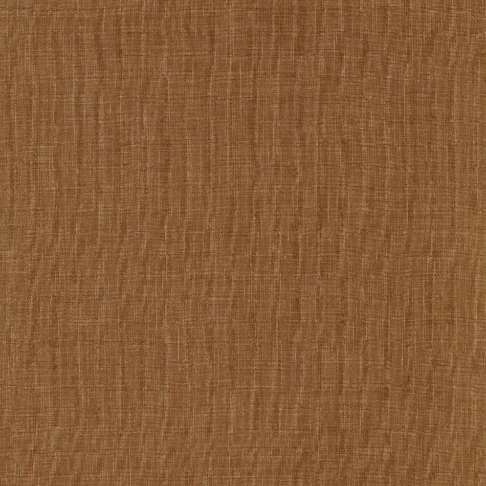 Shinok 73817528 Ambre