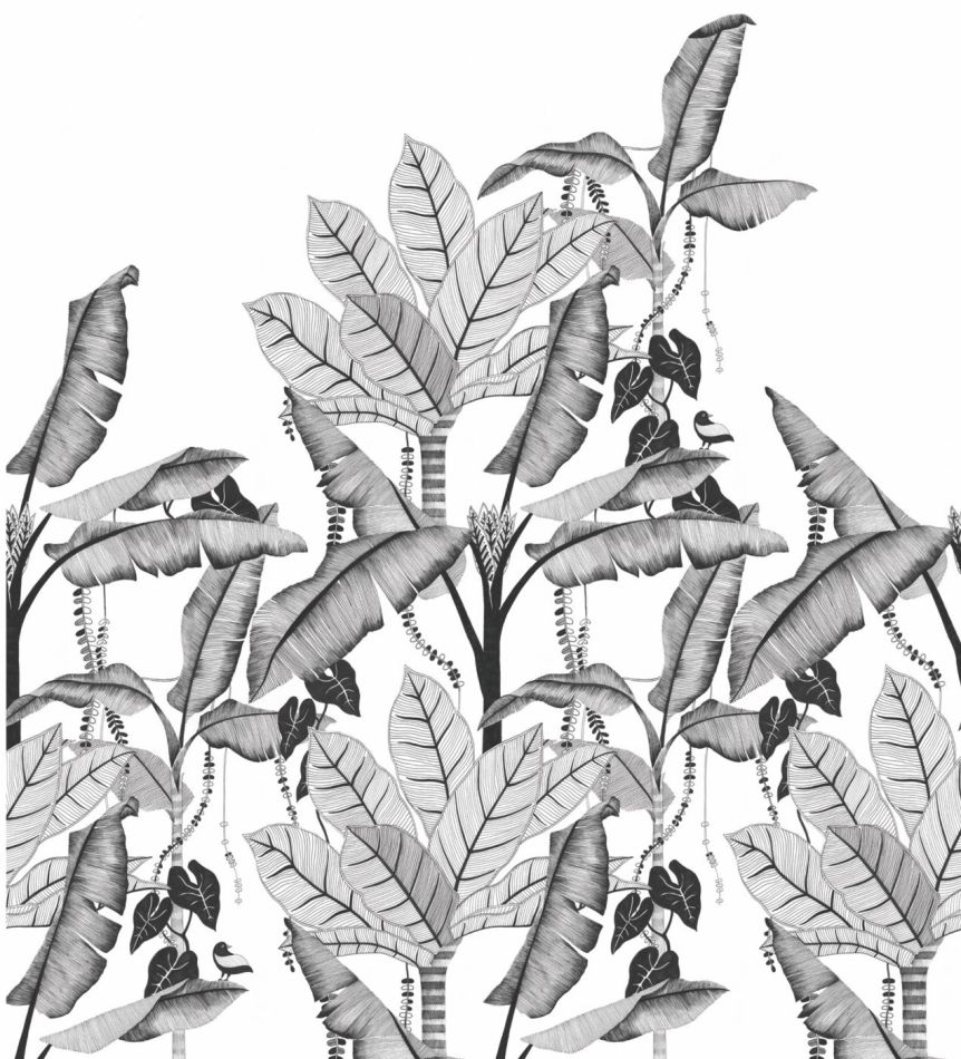 Preview: Jangala 74992038 Noir/Blanc