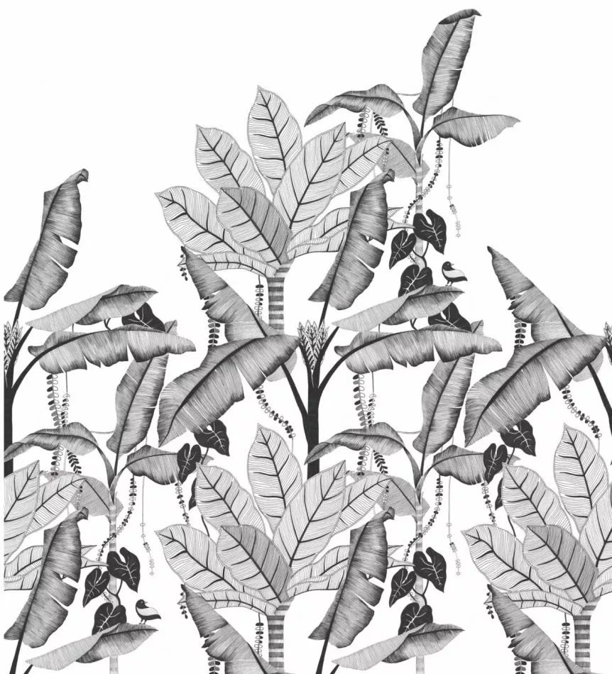 Jangala 74992038 Noir/Blanc