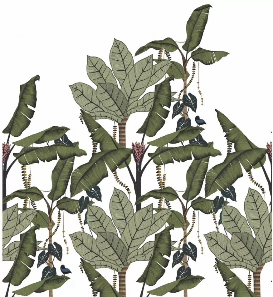 Jangala 74992140 Blanc/Vert Mousse