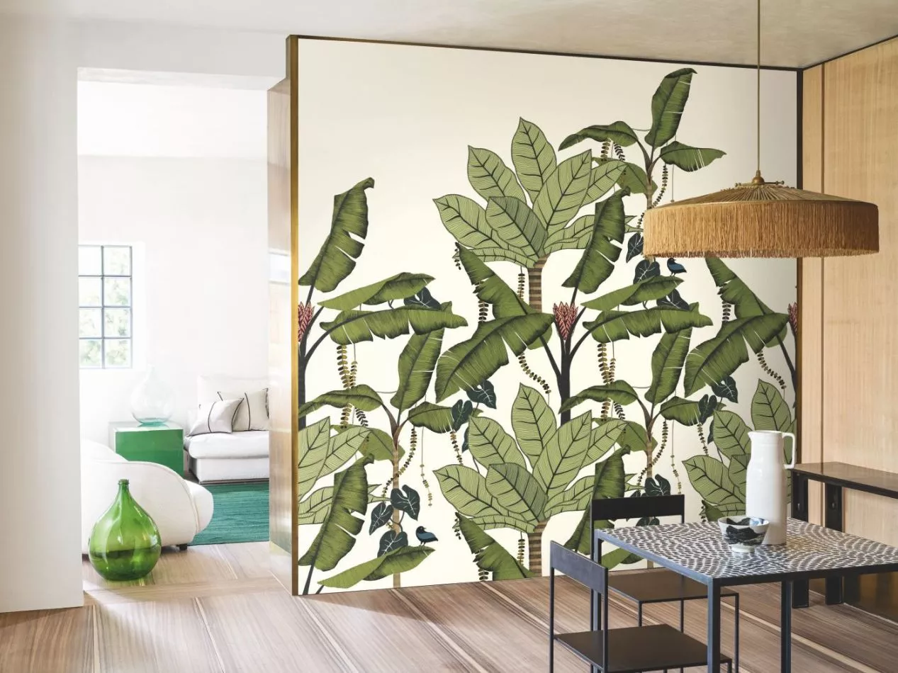 Jangala 74992140 Blanc/Vert Mousse