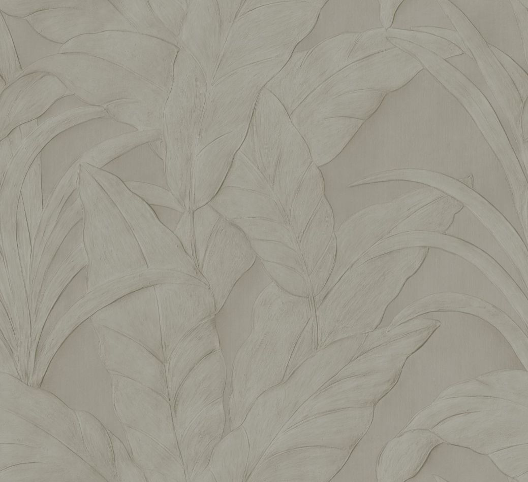 Preview: Musa 75000 Silver