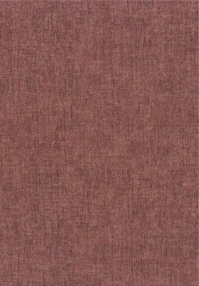Diola 75151732 Aubergine