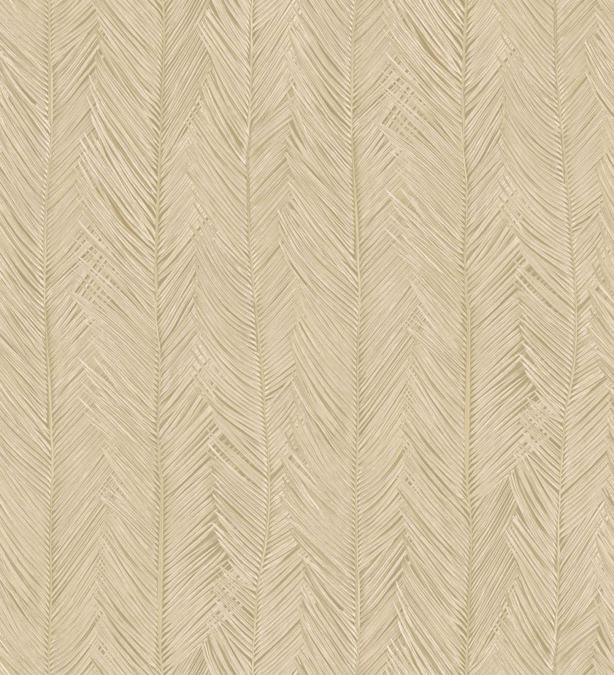 Preview: Itaya 75401 Coquille