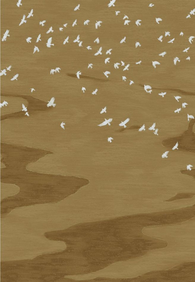 Preview: Migration 76730508 Doré