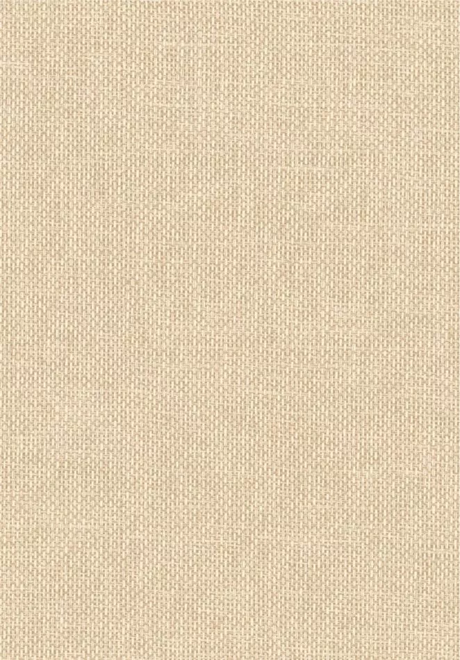 Vannora 76921630 Coquille