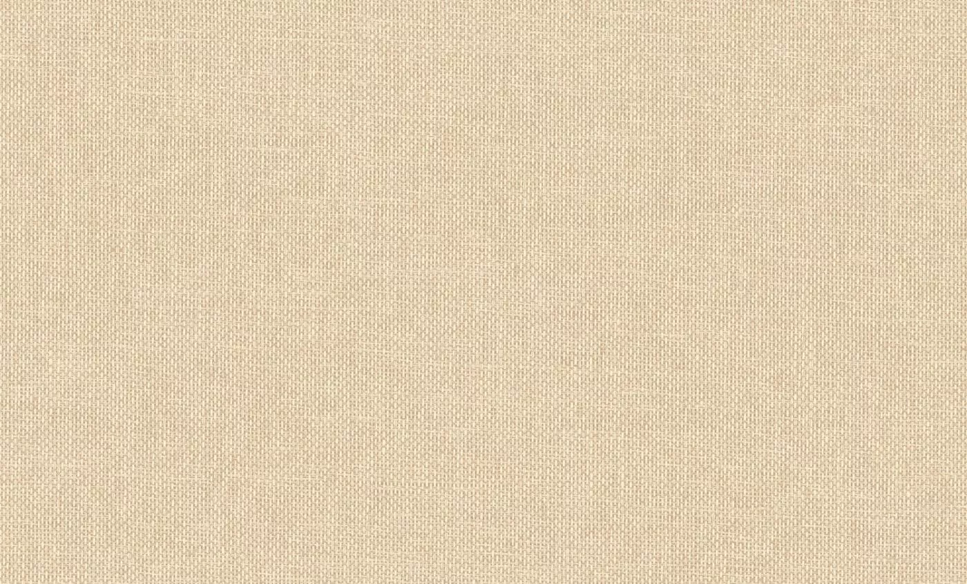 Vannora 76921630 Coquille