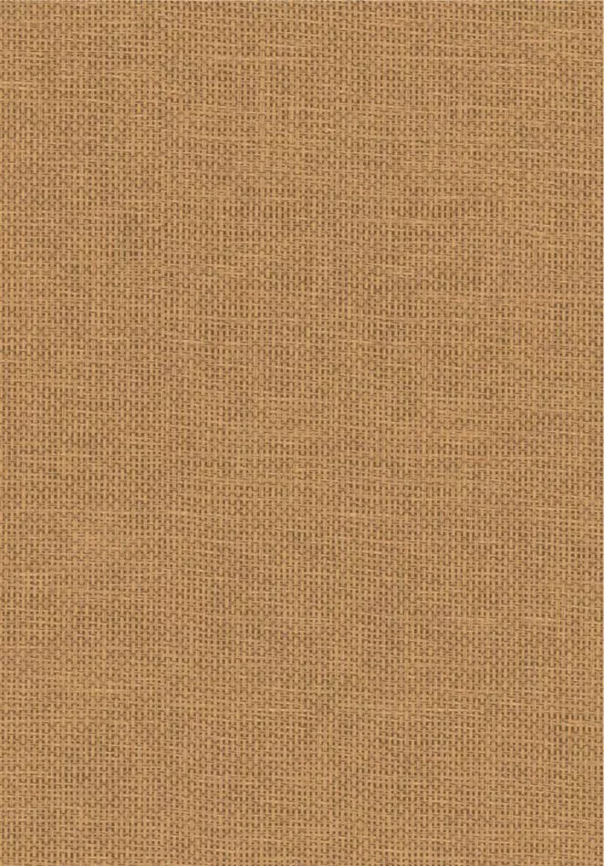 Vannora 76921936 Camel