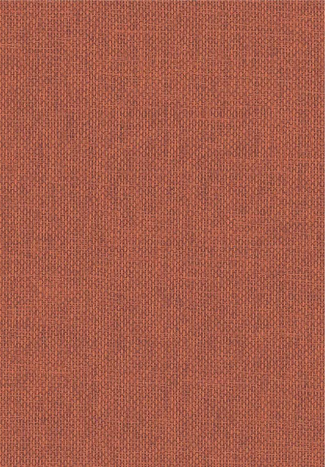 Vannora 76922344 Orange brûlé