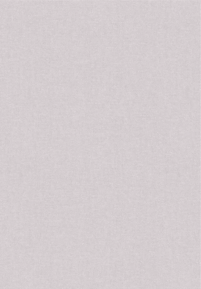 Lin 78048 Gris Brouillard