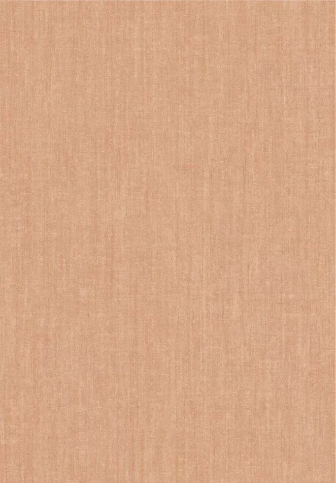 Terre de Lin 78250 Tatami