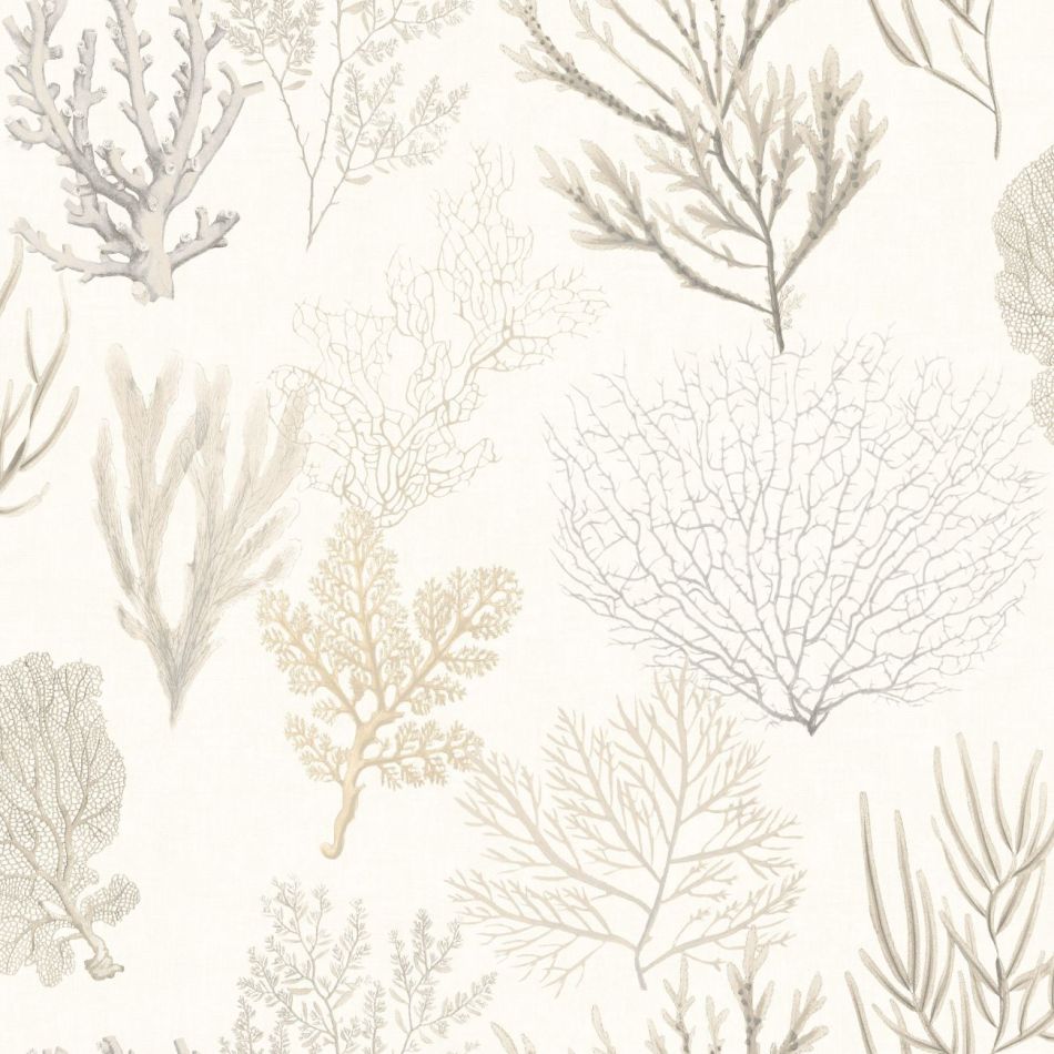 Preview: Corail 83971120 Beige