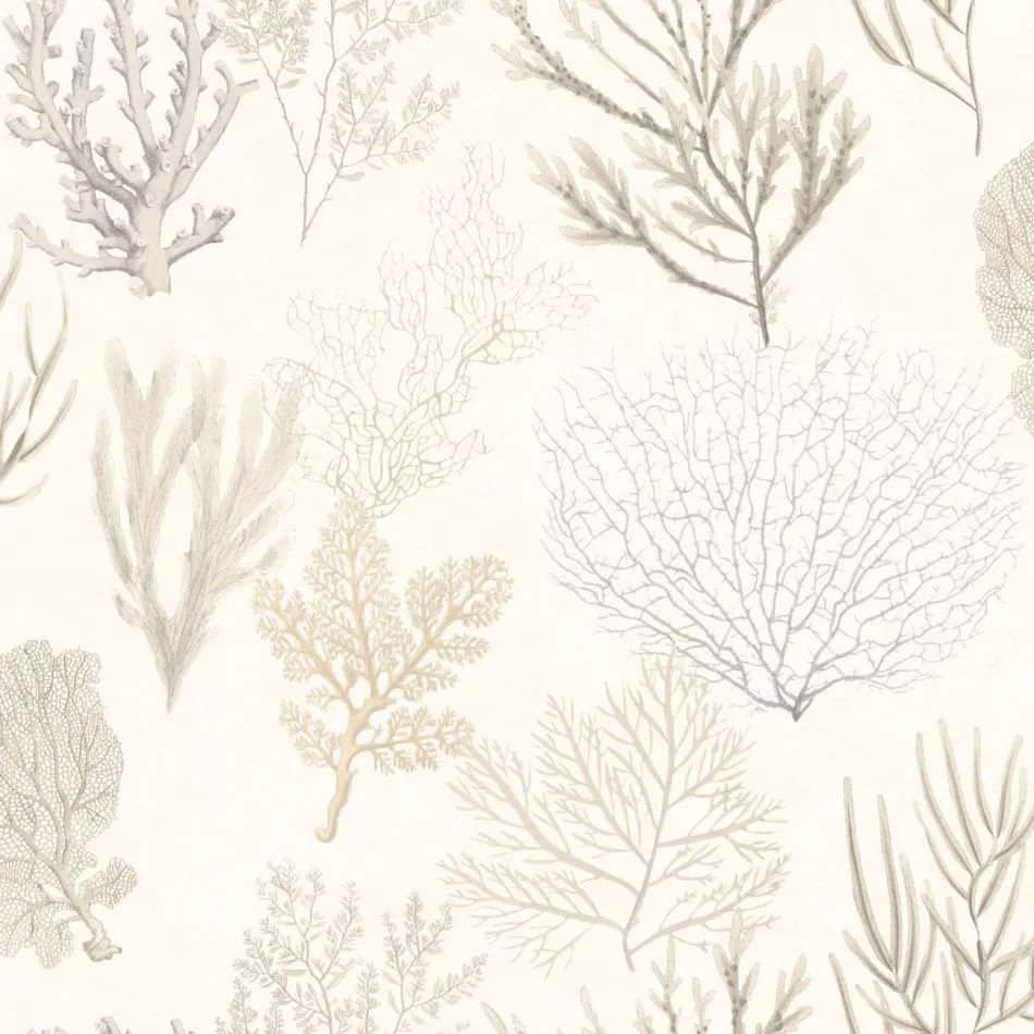 Corail 83971120 Beige