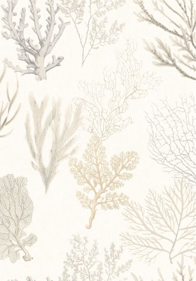 Preview: Corail 83971120 Beige