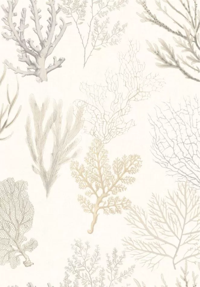 Corail 83971120 Beige