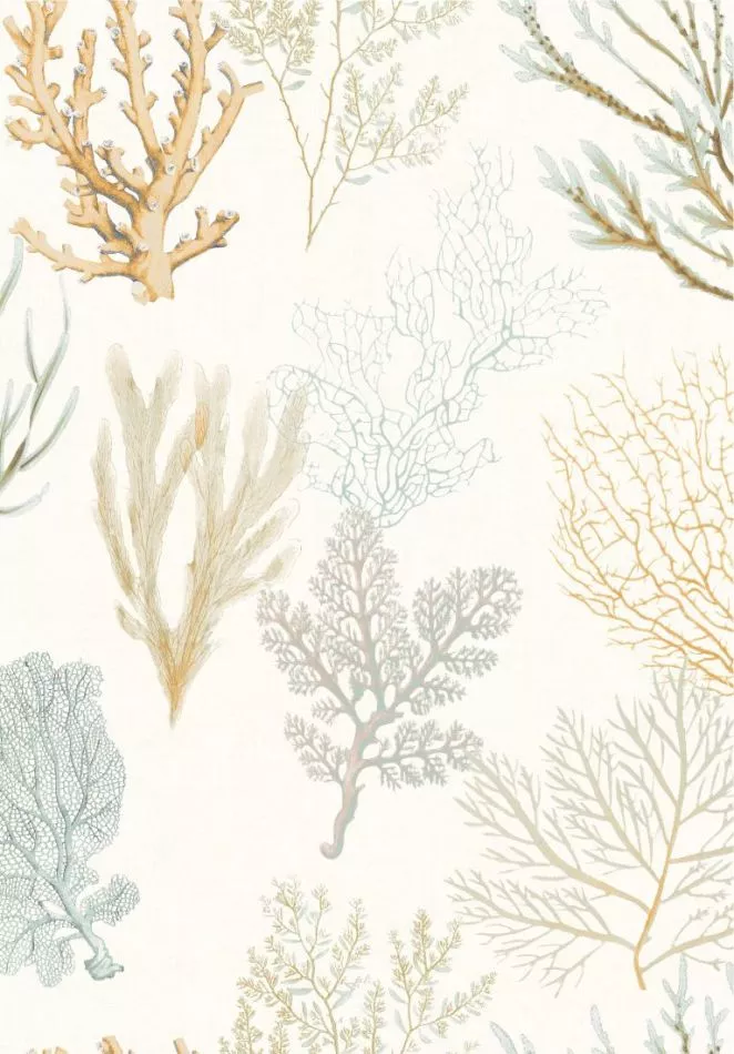 Corail 83972127 Jaune