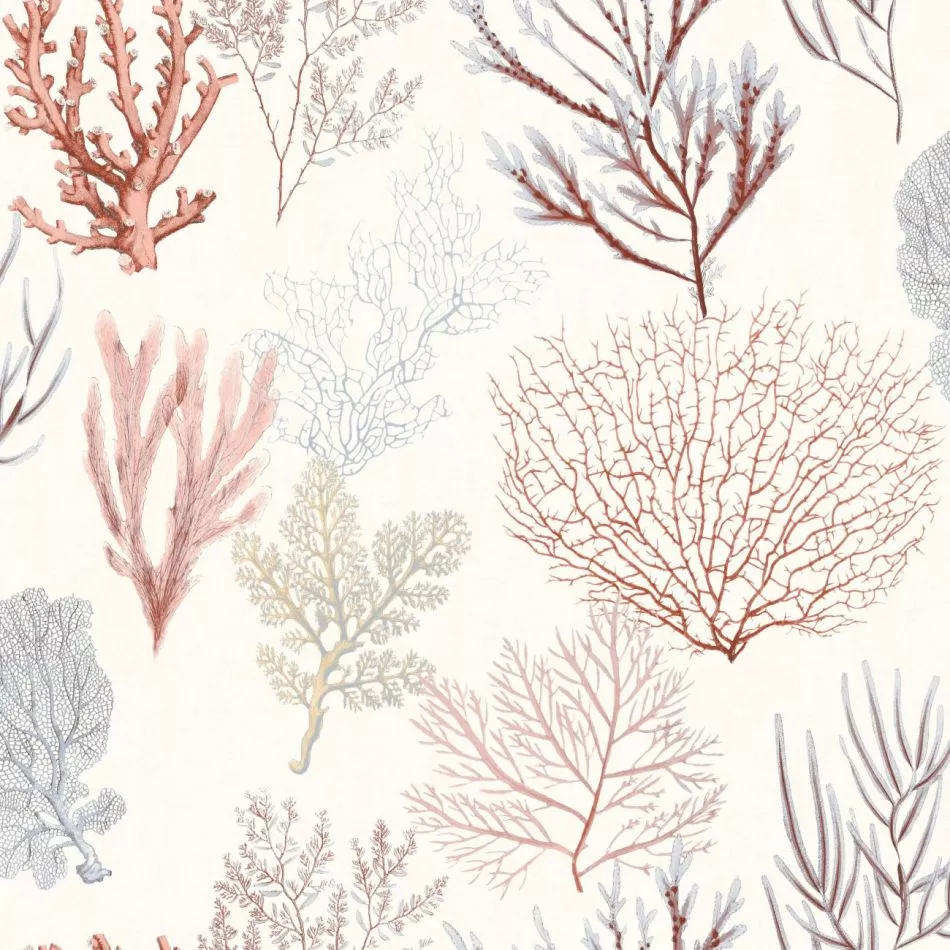 Corail 83978121 Rouge