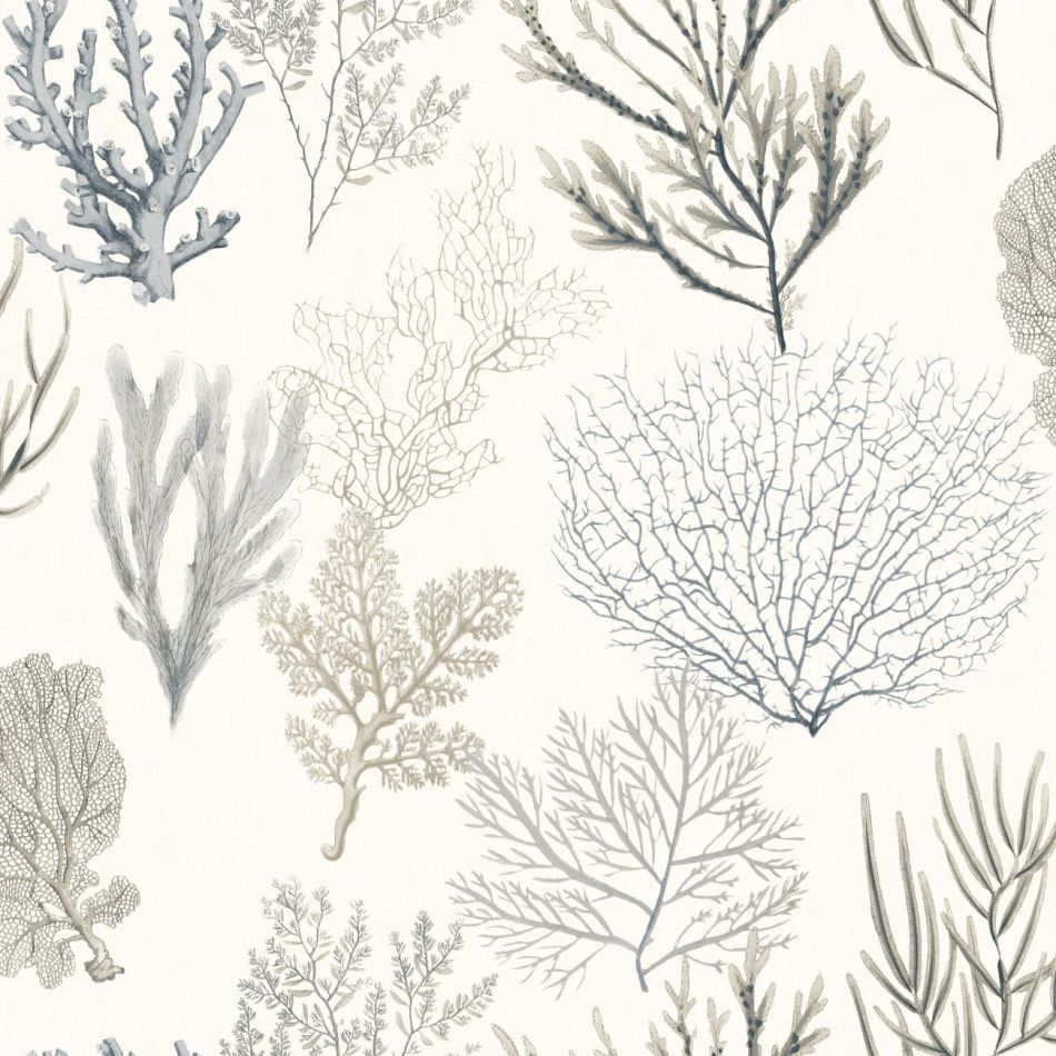 Preview: Corail 83979122 Noir