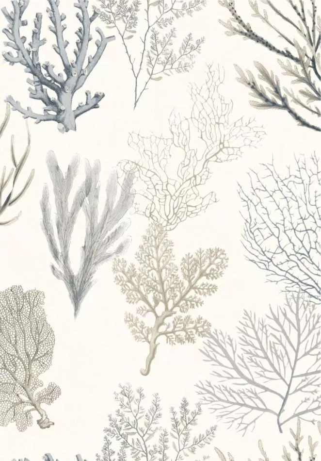 Corail 83979122 Noir