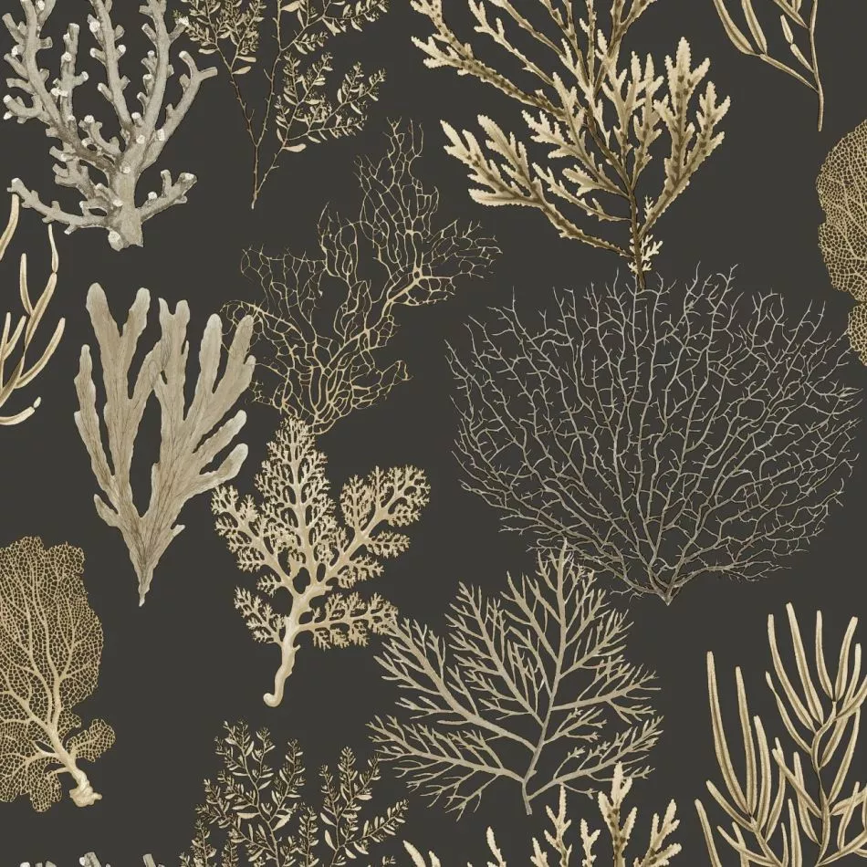 Corail 83979808 Noir fusain